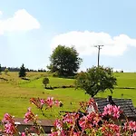 아파트 Ferienwohnung Am Lindenbaum Naehe Nuerburgring *