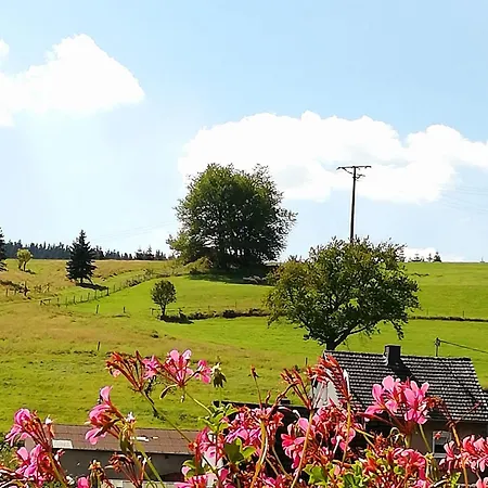 アパート Am Lindenbaum, In Am Nuerburgring *