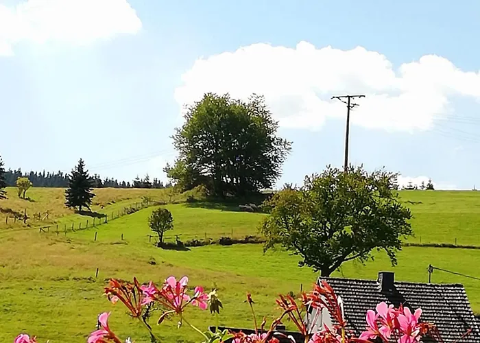Apartment Am Lindenbaum, In Am Nürburgring *